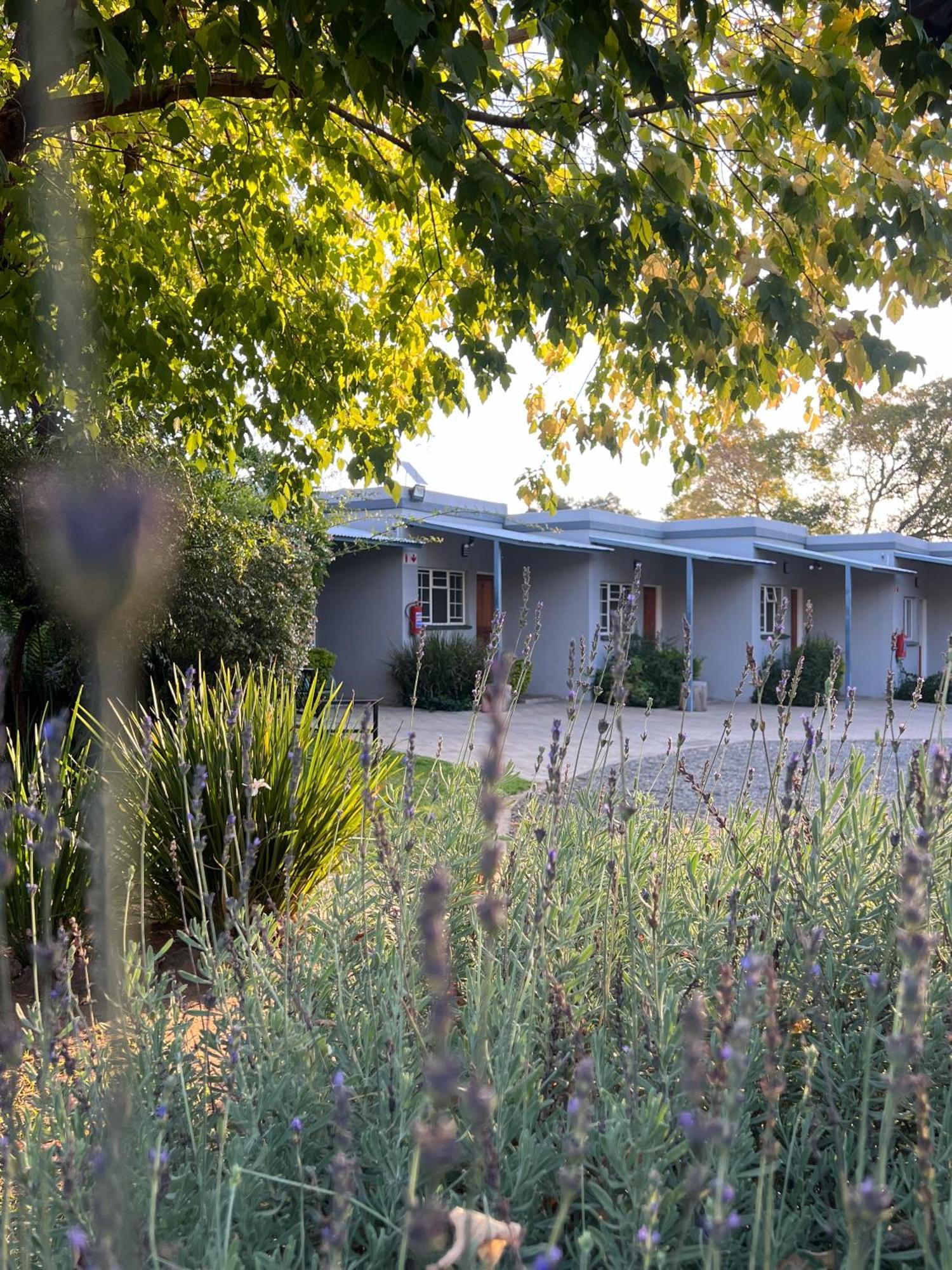 Patterson B&B นิวคาสเซิล ภายนอก รูปภาพ