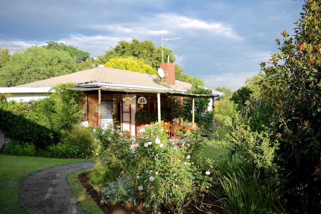 Patterson B&B นิวคาสเซิล ภายนอก รูปภาพ